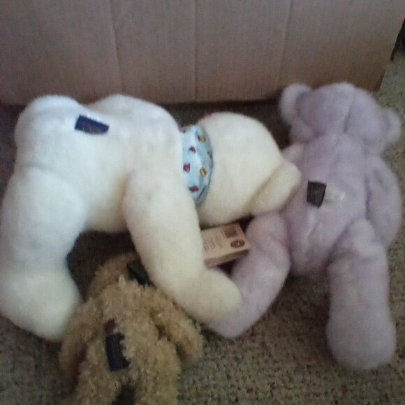 Boyd's bears - Picture 2 of 2